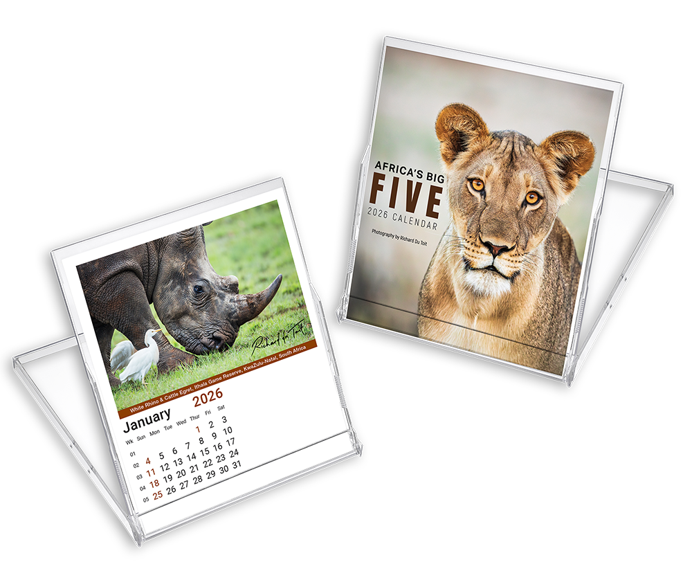 Africa's Big Five Magnificent SA