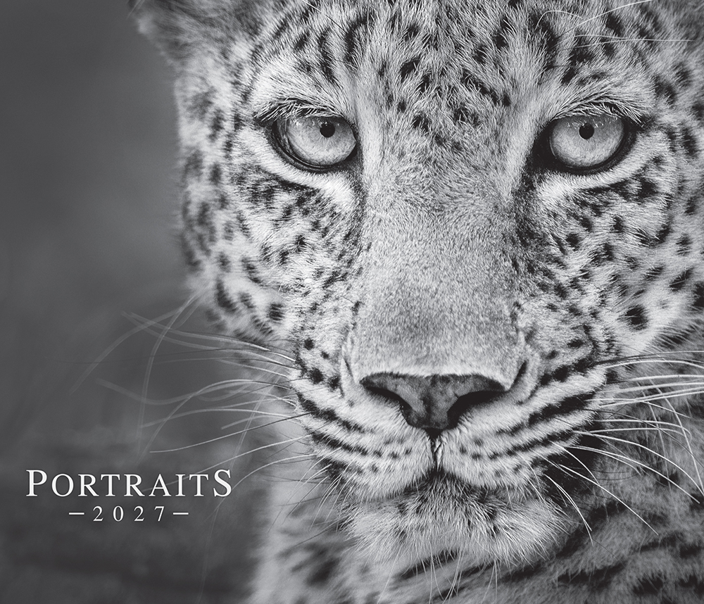 Shades of Africa 2025