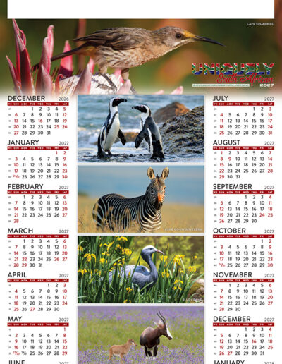 Uniquely South African